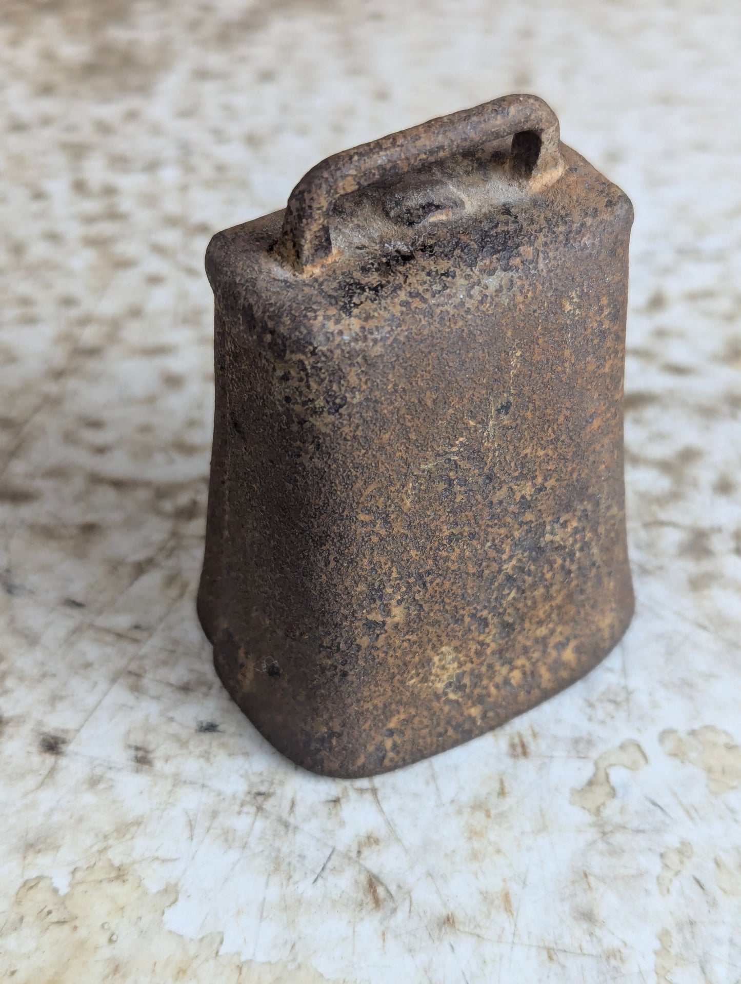 Small Rustic Cow Bell