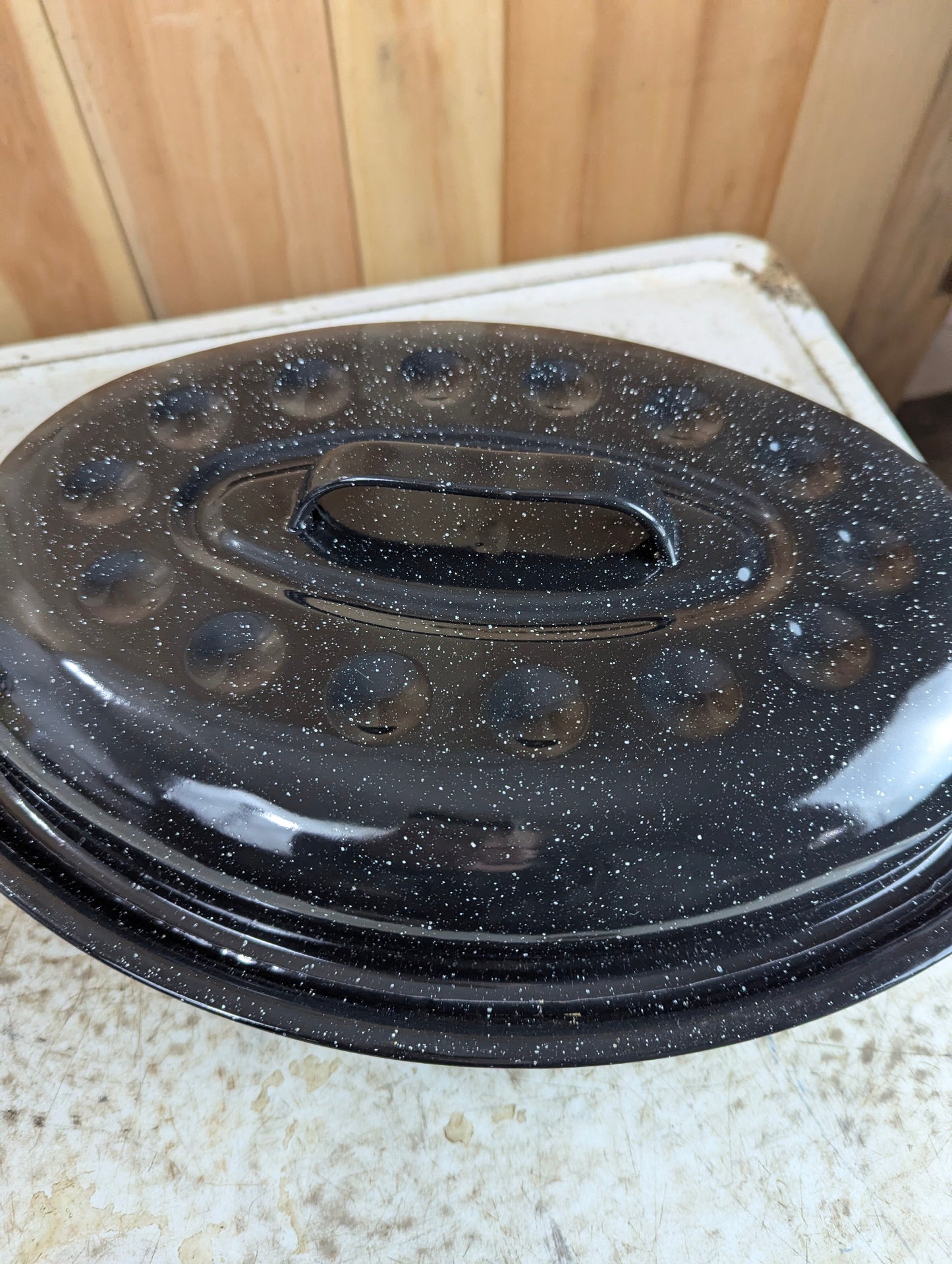 Enamel Oval Roast Pan