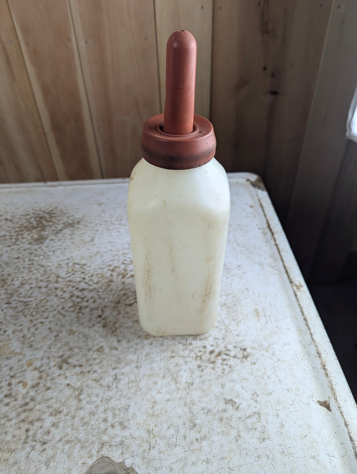 Calf-Teria Nursing Bottle