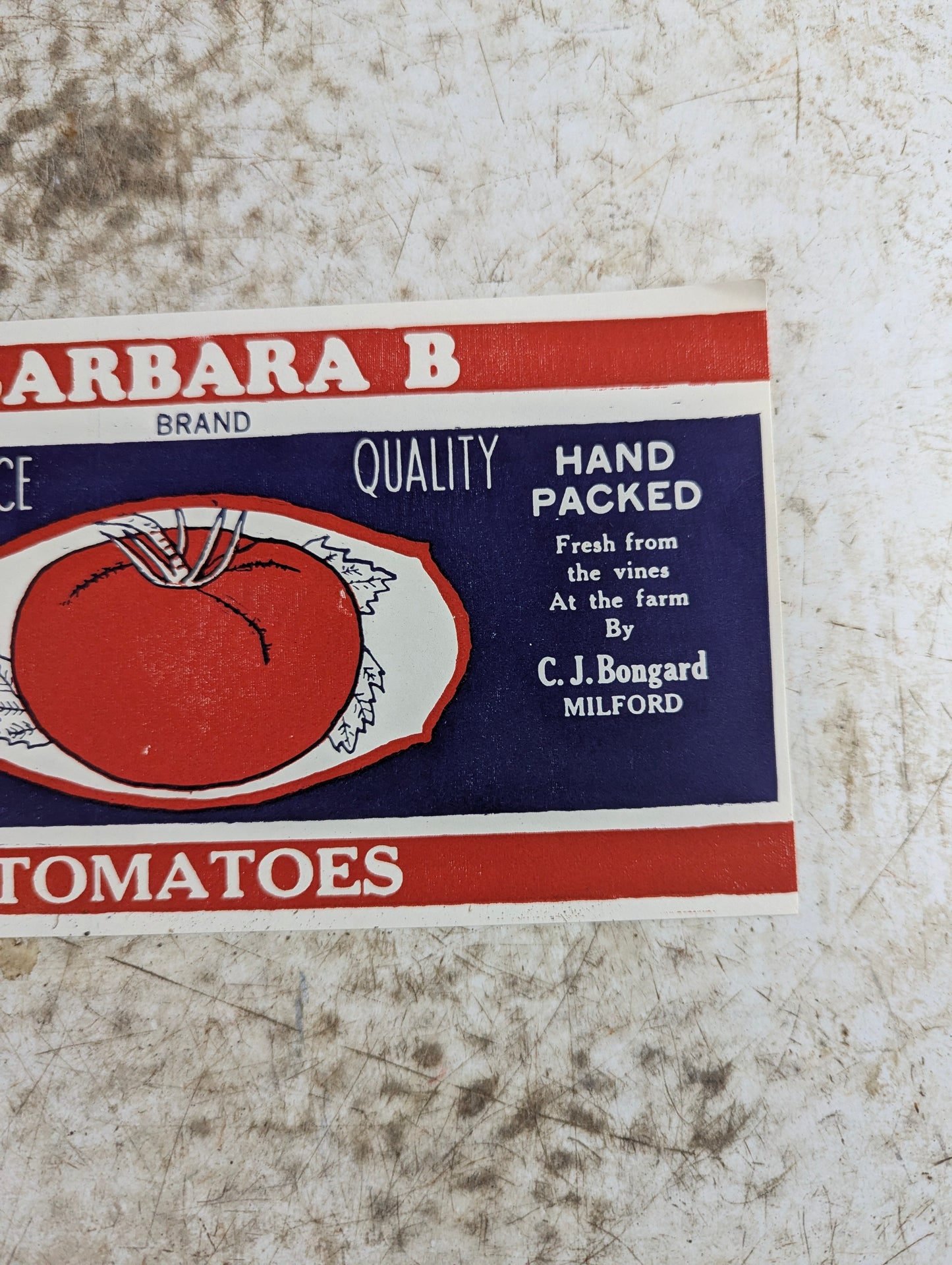 1940s Tomato Canning Labels- New Old Stock (NOS)