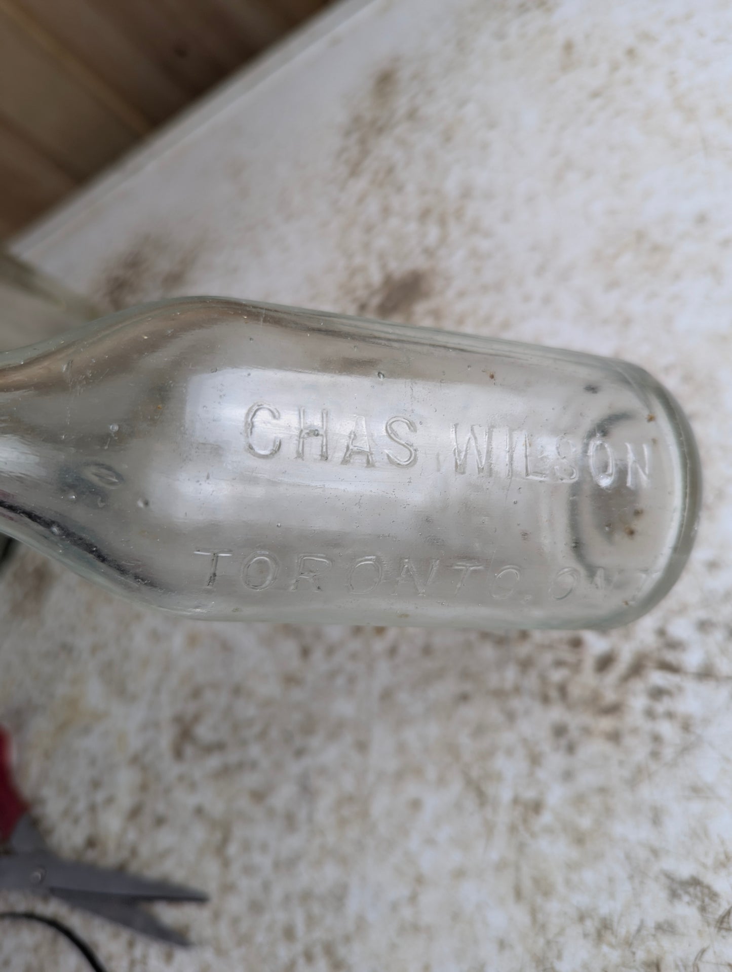 Antique Chas. Wilson Embossed Squirrel Soda Bottle