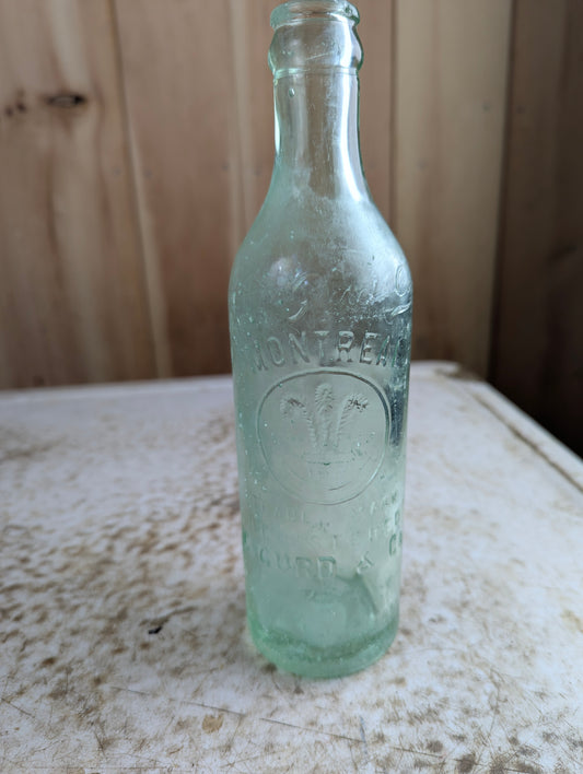Chas Gurd Co Montreal Aqua Glass Embossed Antique Soda Bottle