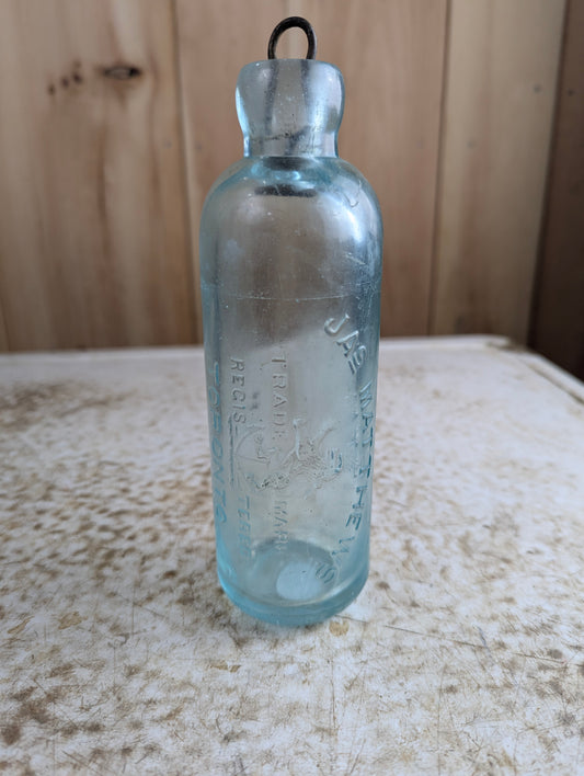 Jas Matthews Toronto Antique Lion Embossed Aqua Glass Hutchinson Soda Bottle