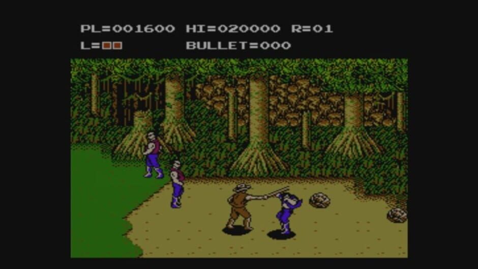 Adventures of Bayou Billy (NES) - view 4