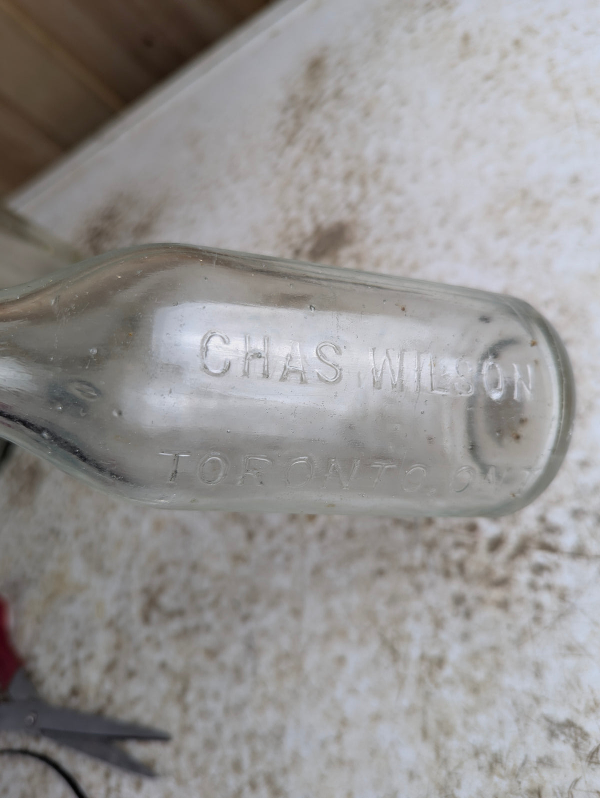 Antique Chas. Wilson Embossed Squirrel Soda Bottle - view 2