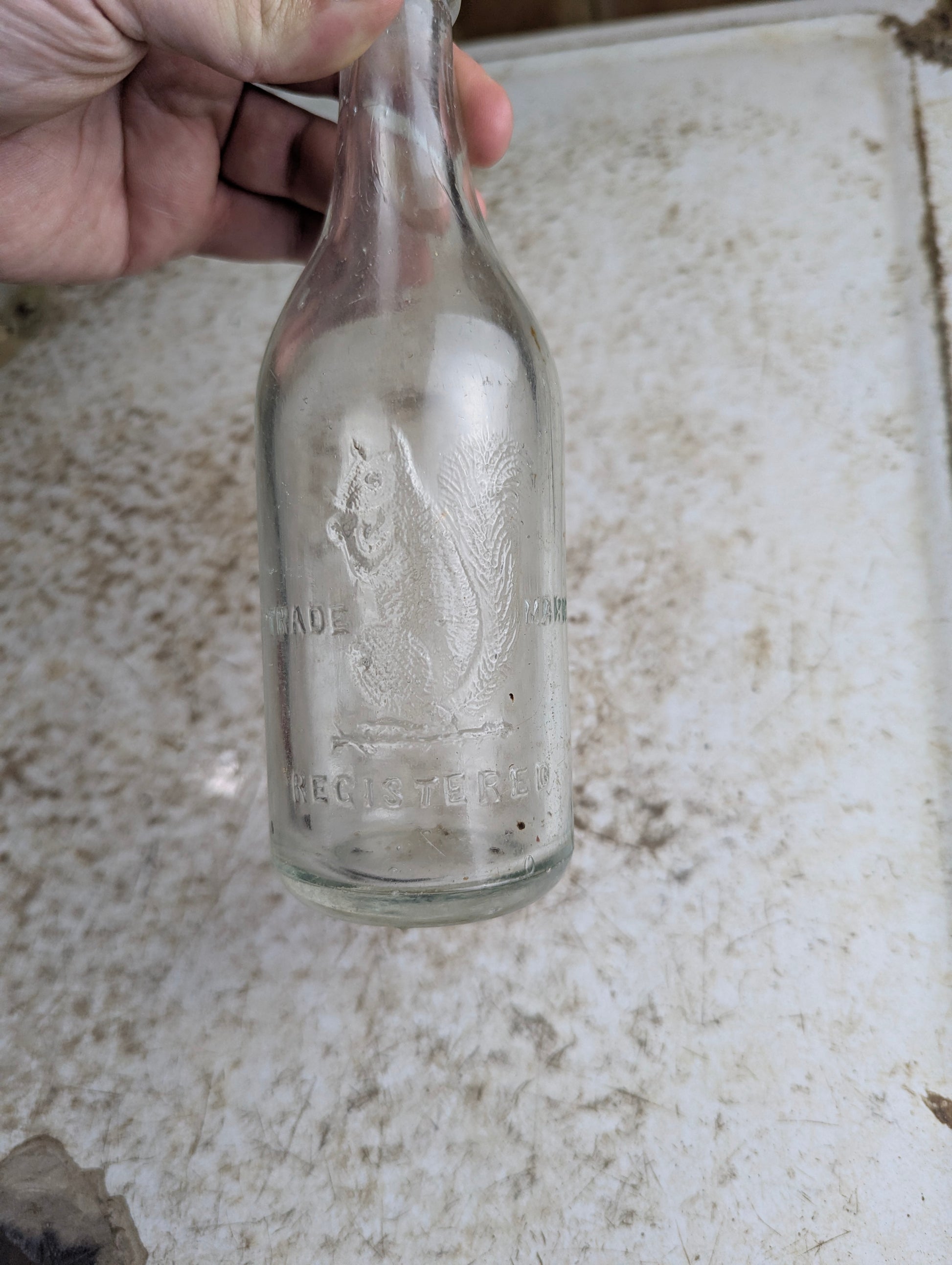 Antique Chas. Wilson Embossed Squirrel Soda Bottle - view 3
