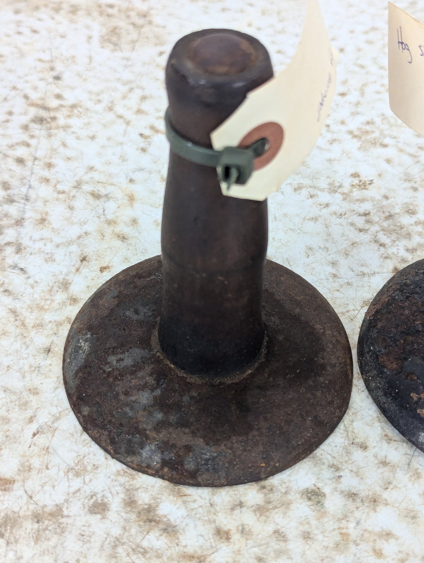 Antique Hog Scraper - view 3
