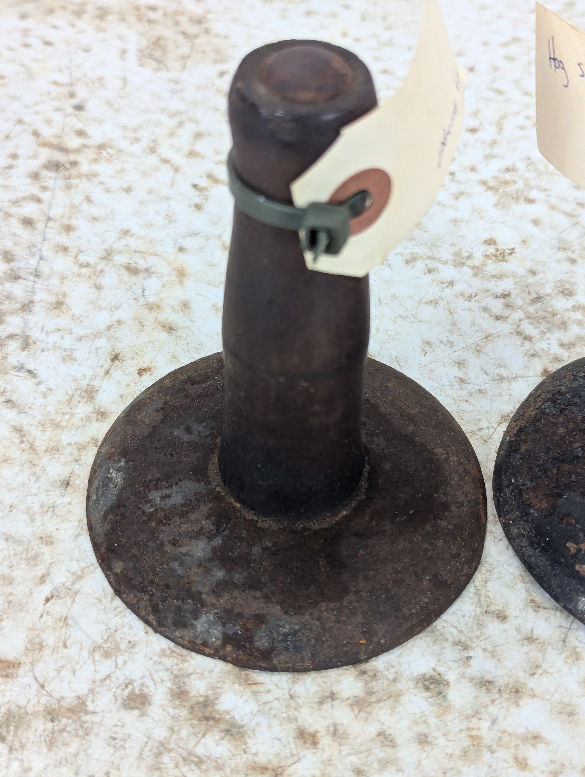 Antique Hog Scraper - view 3