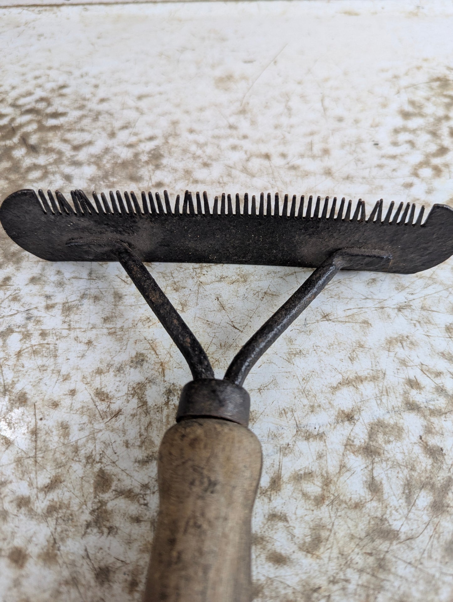 Antique Iron Horse Grooming Curry Comb - view 2