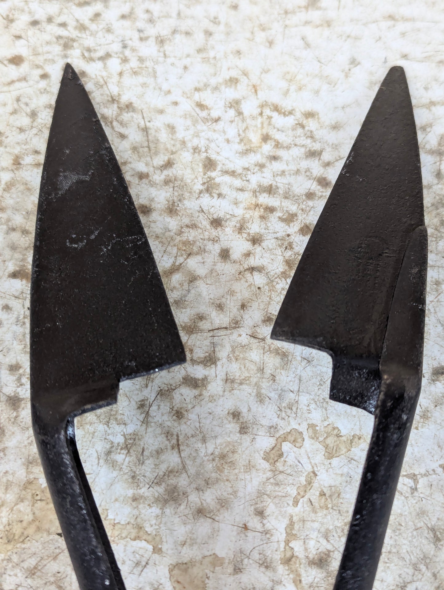 Antique Metal Sheep Shears - view 3