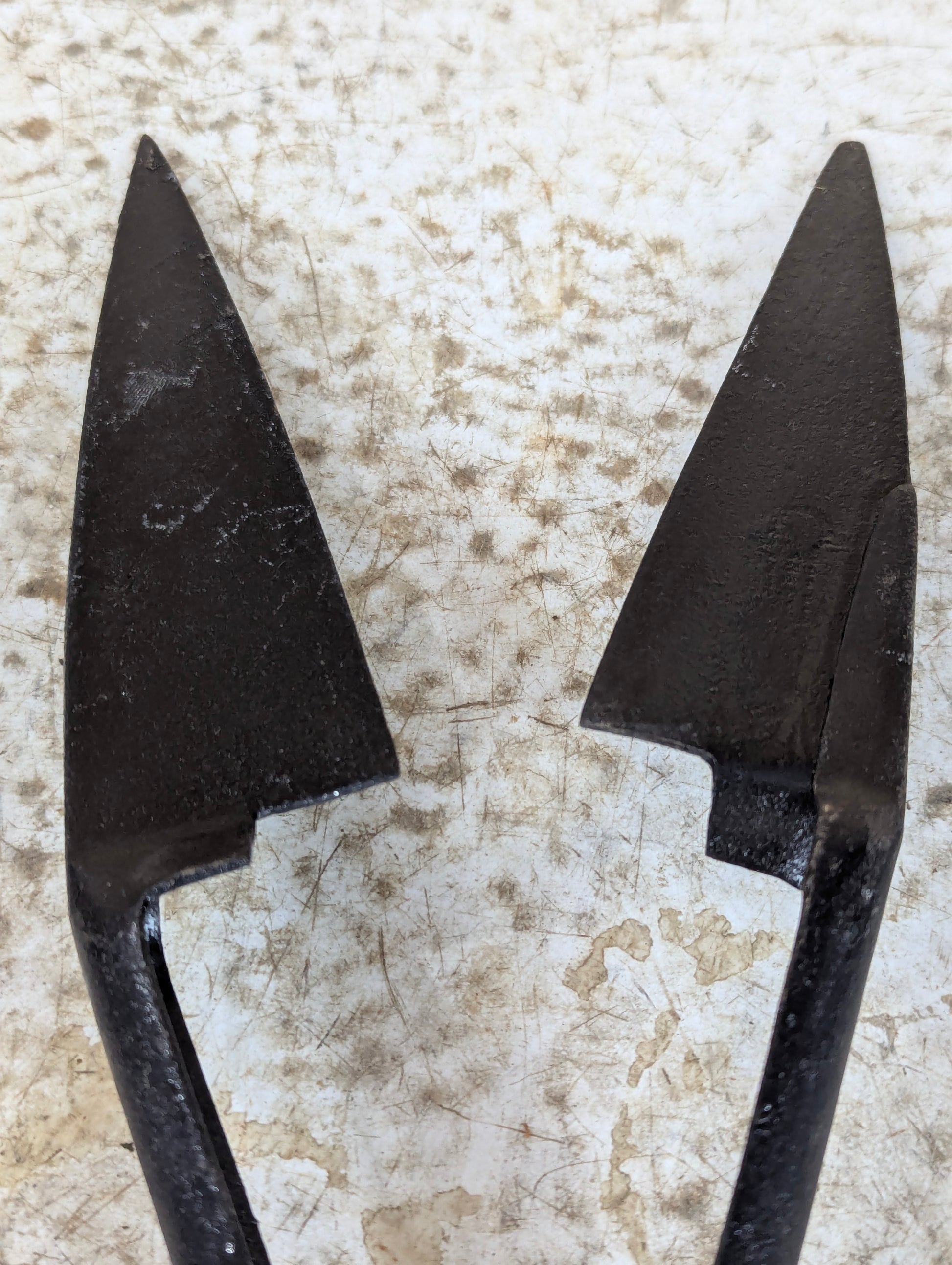 Antique Metal Sheep Shears - view 3