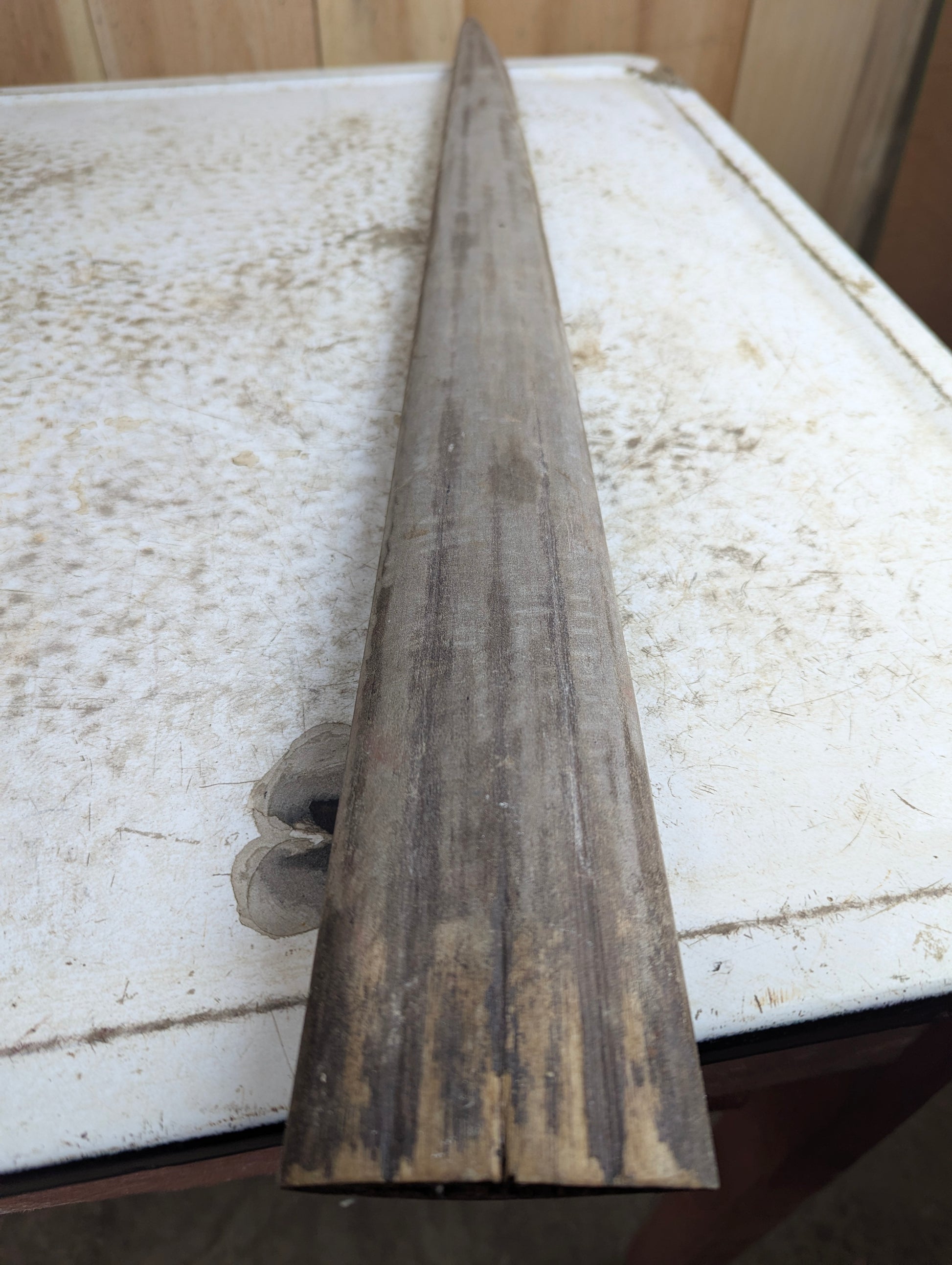 Authentic 29.5" Swordfish Bill Rostrum Taxidermy - view 2