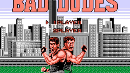 Bad Dudes (NES) - view 2