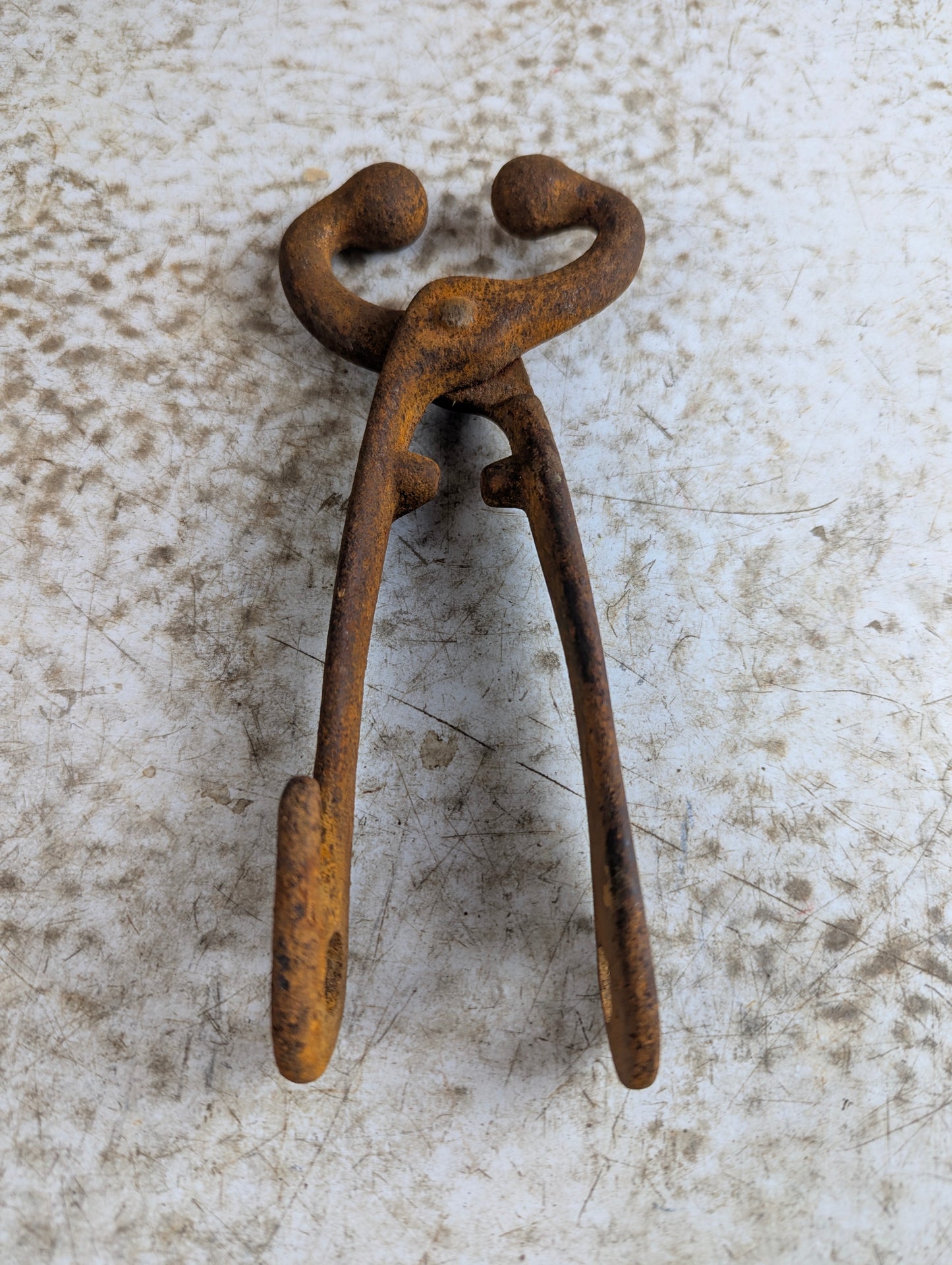 Cast Iron Bull Nose Lead Cattle Pliers