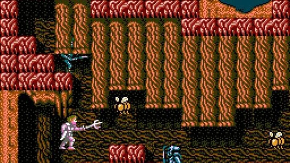 Faxanadu (NES) - view 2