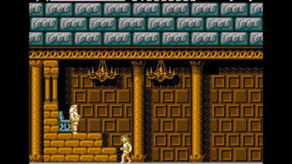 Faxanadu (NES) - view 3