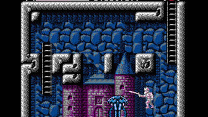 Faxanadu (NES) - view 4