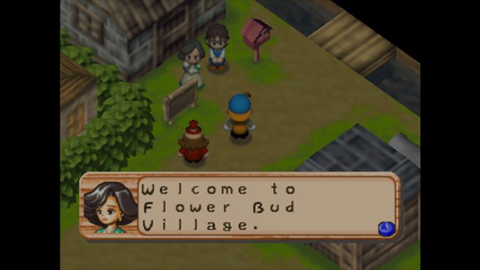Harvest Moon 64 (N64) - view 2