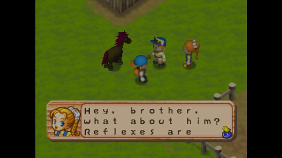 Harvest Moon 64 (N64) - view 4