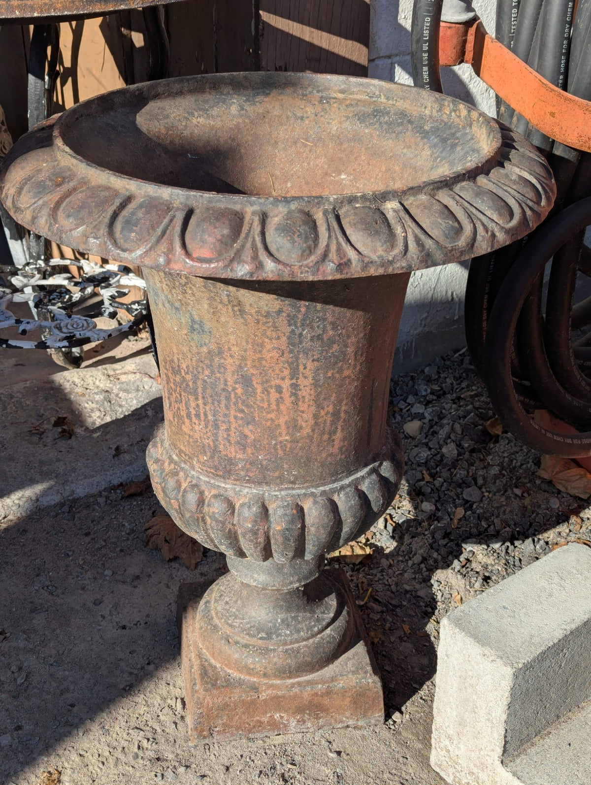 Vintage Cast Iron Garden Urn Planter with Egg and Dart Rim on Square Base