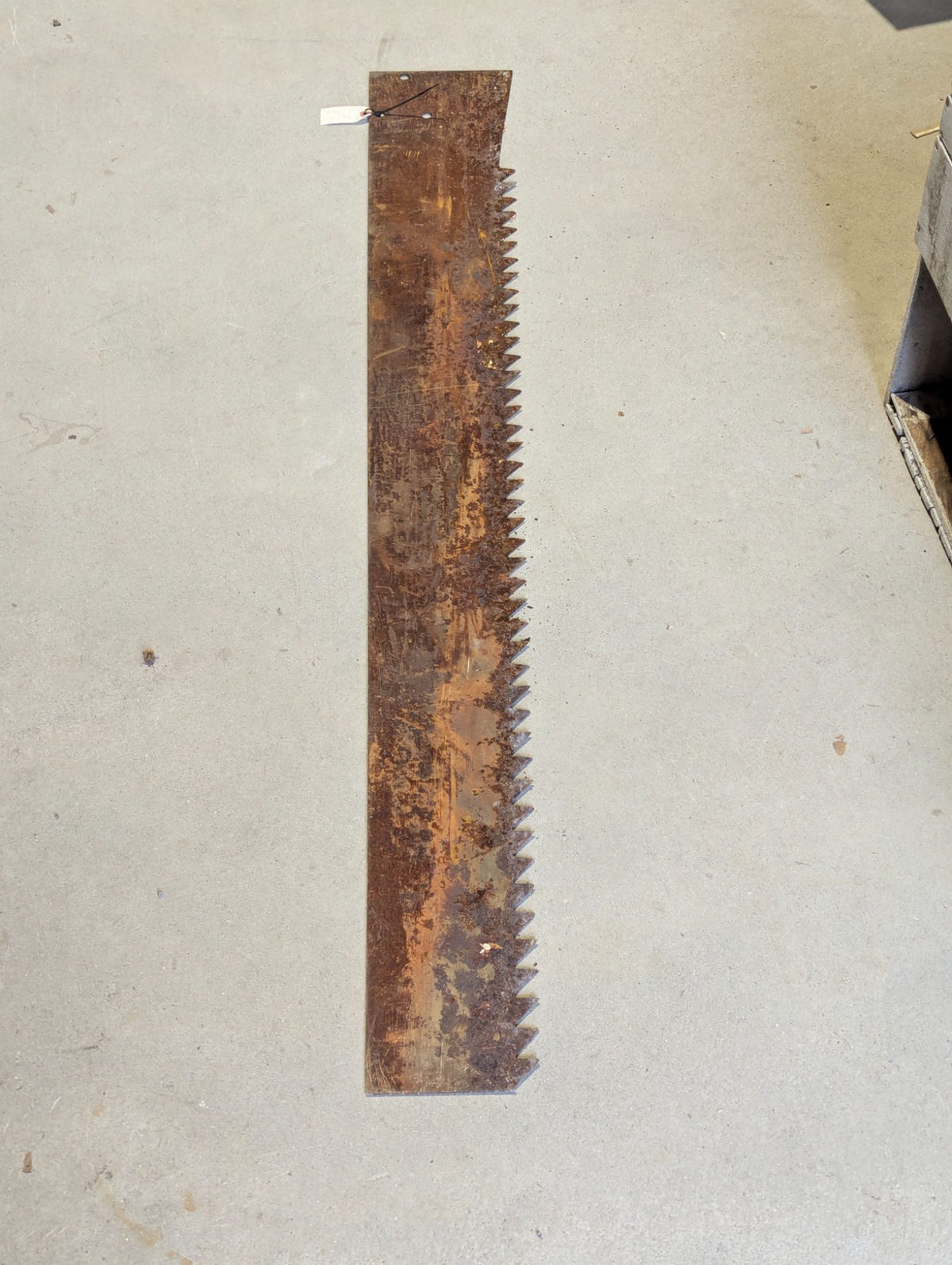 Vintage Large Steel Saw Blade with Triangular Teeth