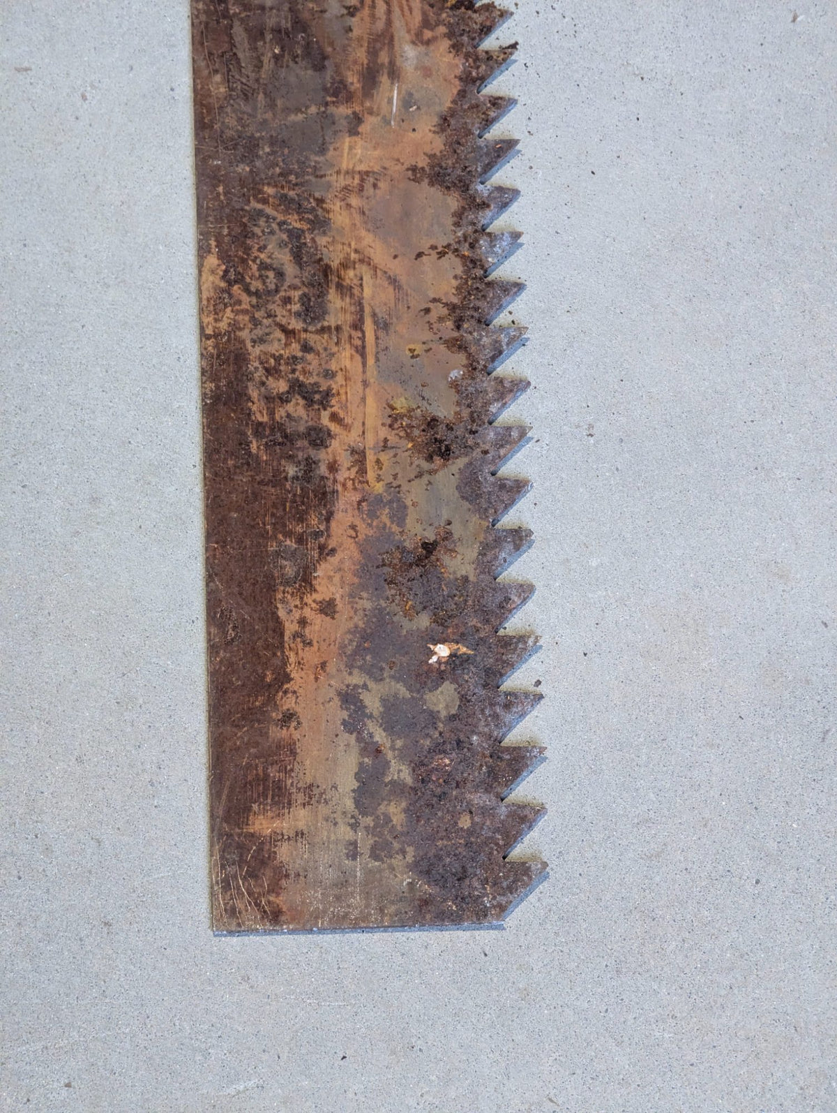 Vintage Large Steel Saw Blade with Triangular Teeth