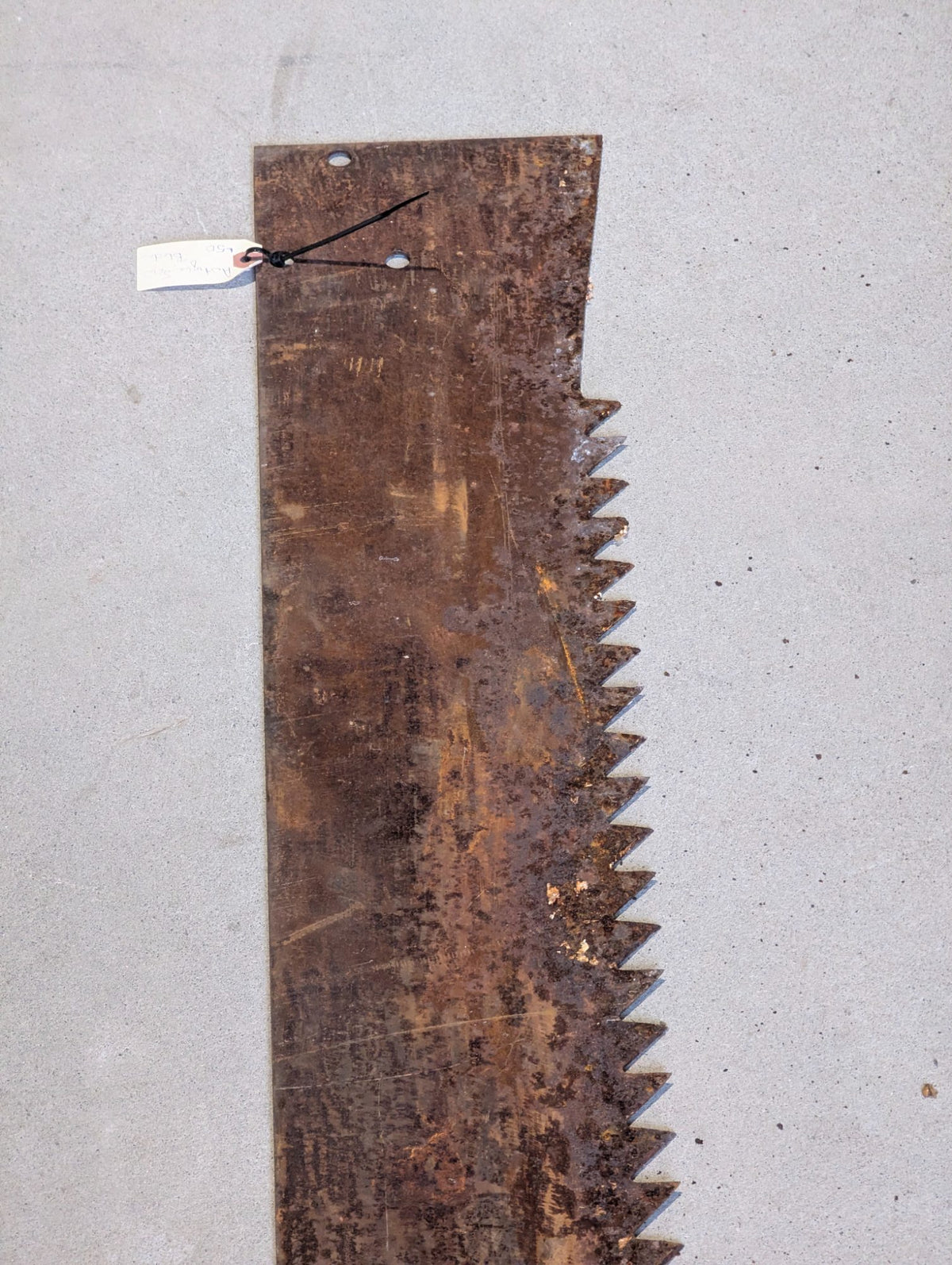 Vintage Large Steel Saw Blade with Triangular Teeth