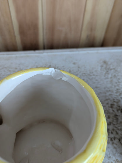 Mr. Peanut Cookie Jar- chipped rim - view 3