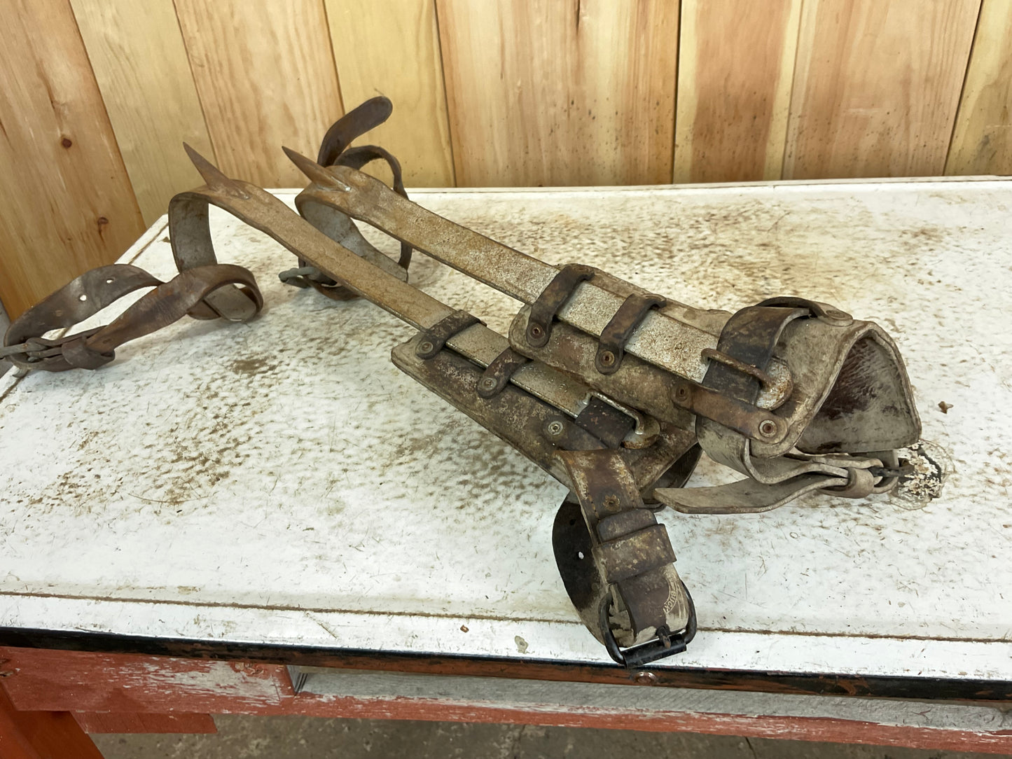 Pair of Vintage Tree Climbing Spikes - view 2
