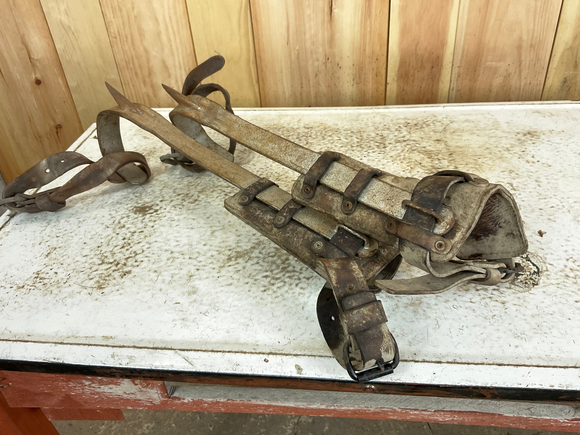 Pair of Vintage Tree Climbing Spikes - view 2