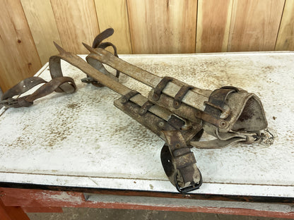 Pair of Vintage Tree Climbing Spikes - view 2