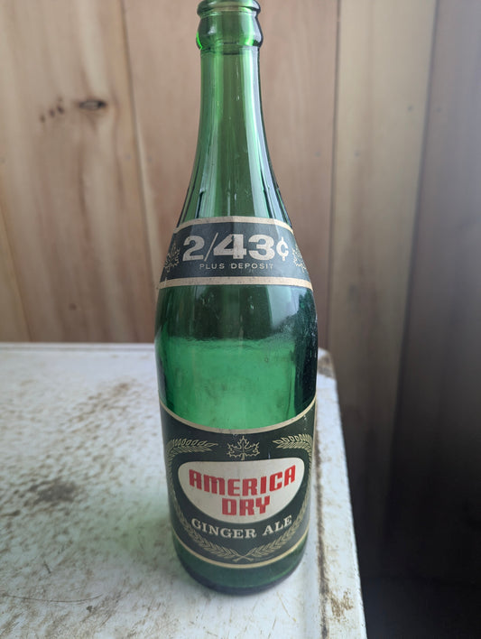 Vintage 30oz American Dry ginger Ale Green Glass Paper Label Soda Bottle