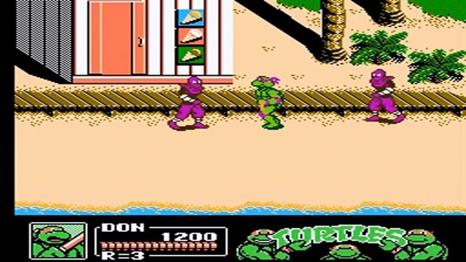 Teenage Mutant Ninja Turtles III The Manhattan Project (NES) - view 2