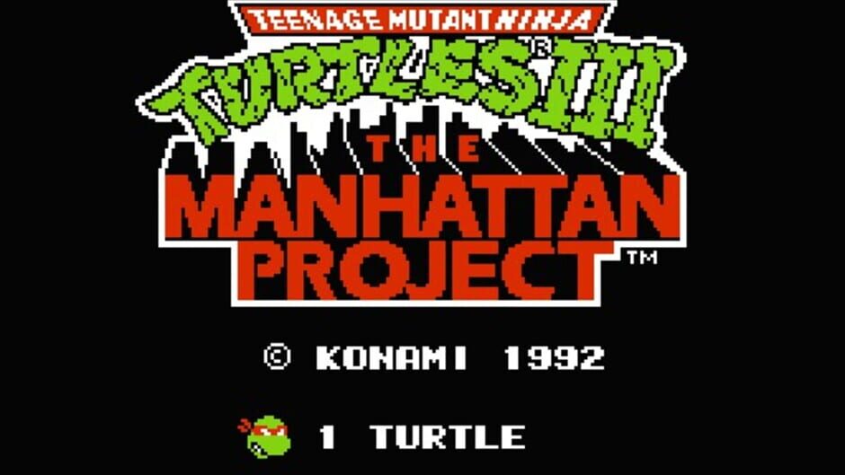 Teenage Mutant Ninja Turtles III The Manhattan Project (NES) - view 4