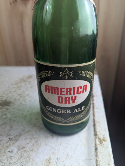 Vintage 30oz American Dry ginger Ale Green Glass Paper Label Soda Bottle - view 2