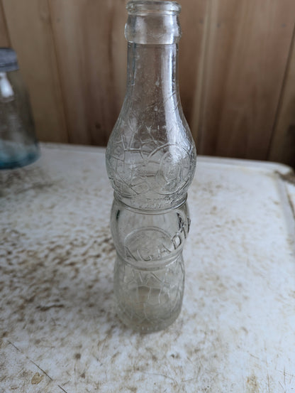 Vintage 6.5oz Evangeline Beverage Acadia Clear Embossed Glass Soda Bottle