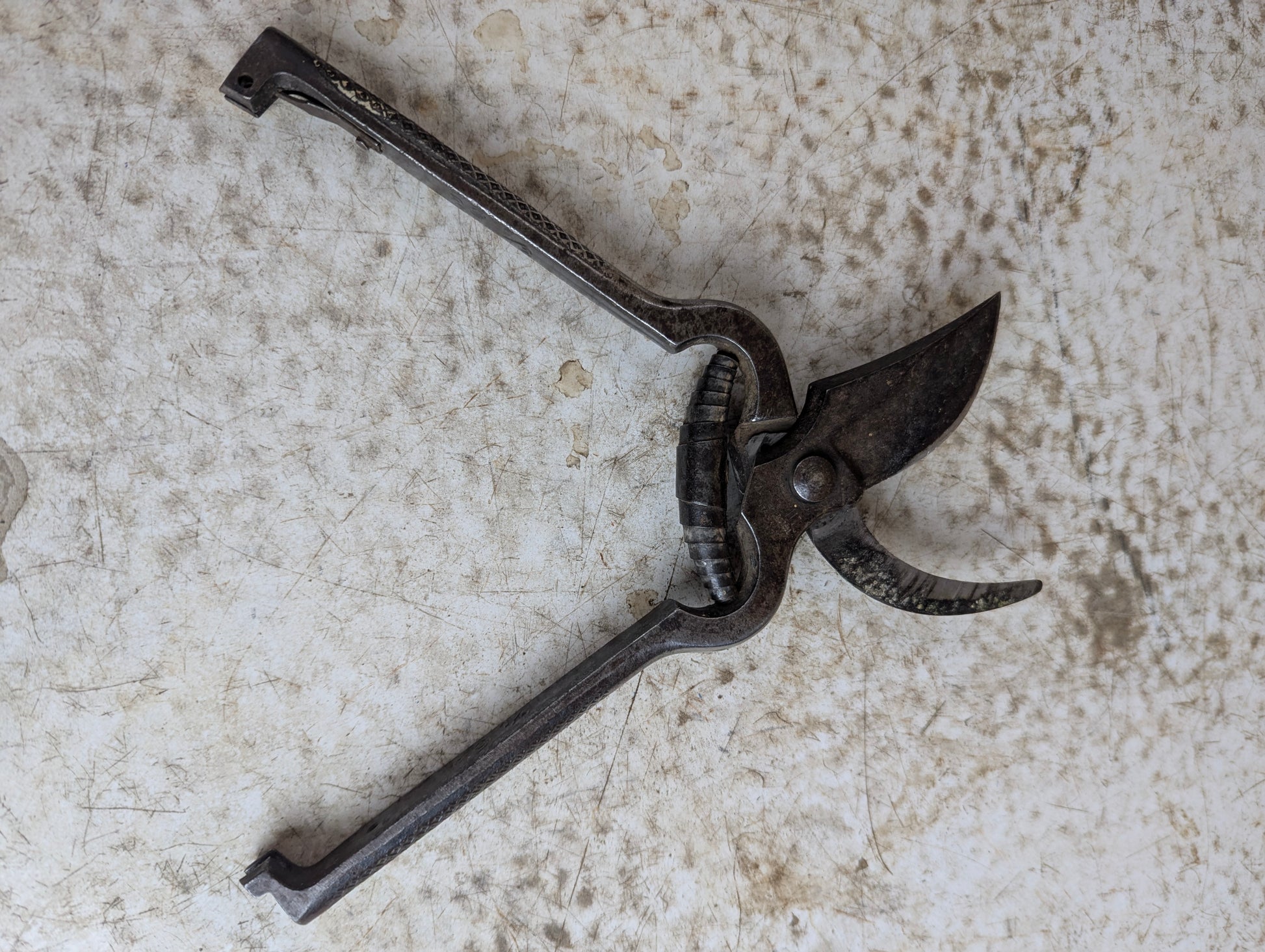 Vintage Gardening Bypass Pruning Shears