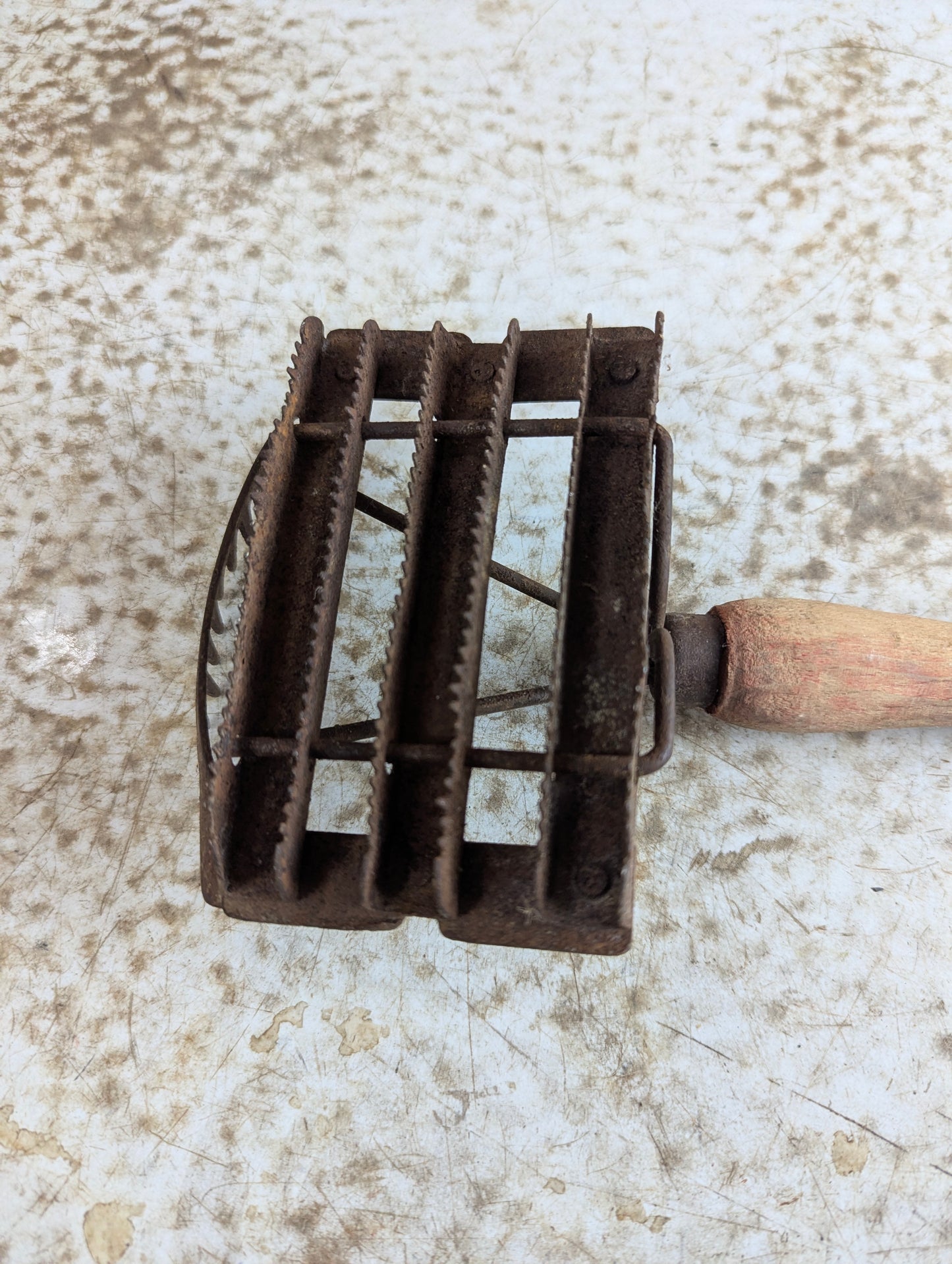 Vintage Horse Grooming Curry Comb - view 2