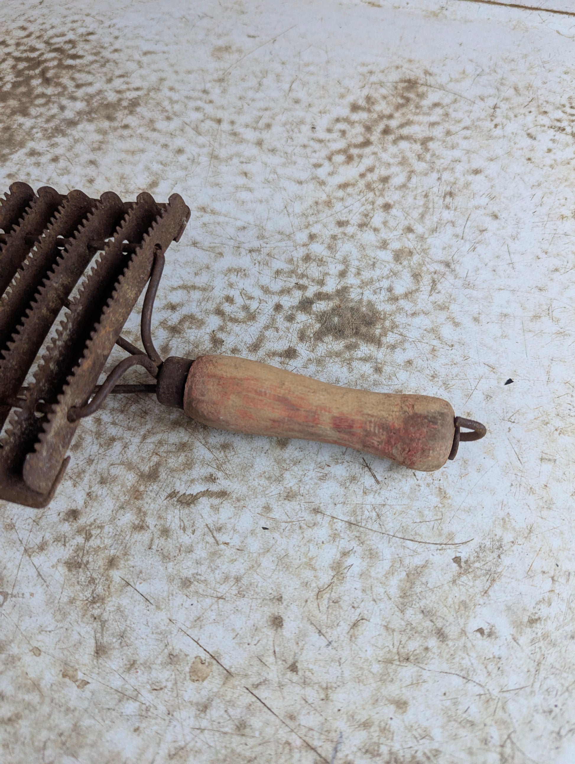 Vintage Horse Grooming Curry Comb - view 3