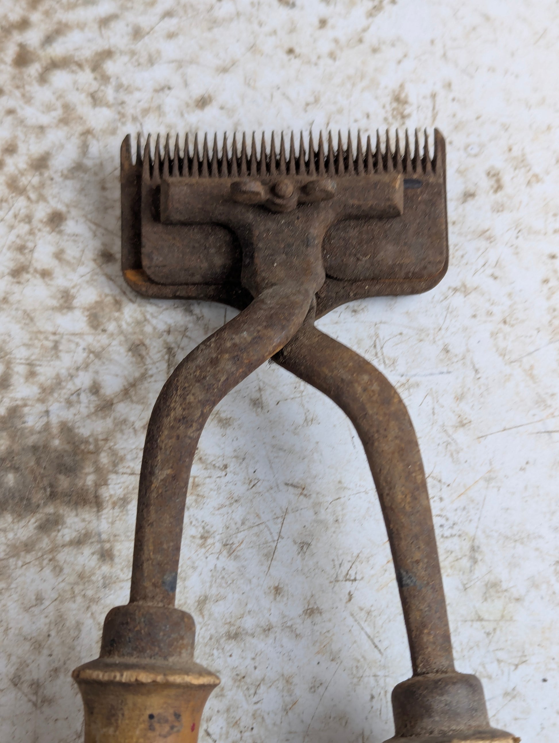 Vintage Manual Farm Clippers Sheep Shears - view 2