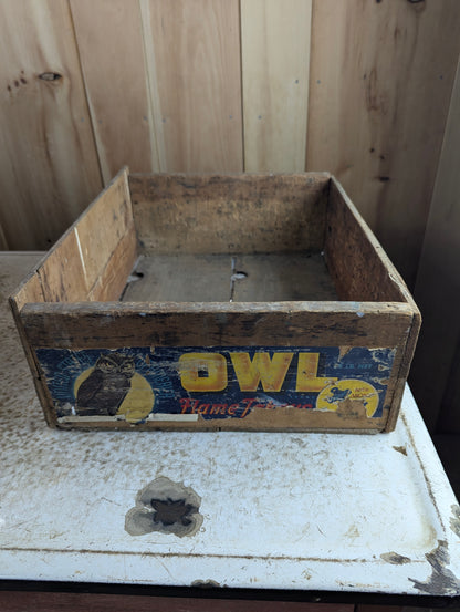 Vintage Owl California Fruit Exchange Crate