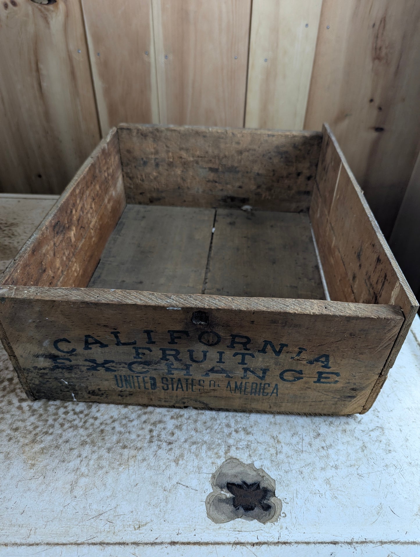 Vintage Owl California Fruit Exchange Crate - view 5