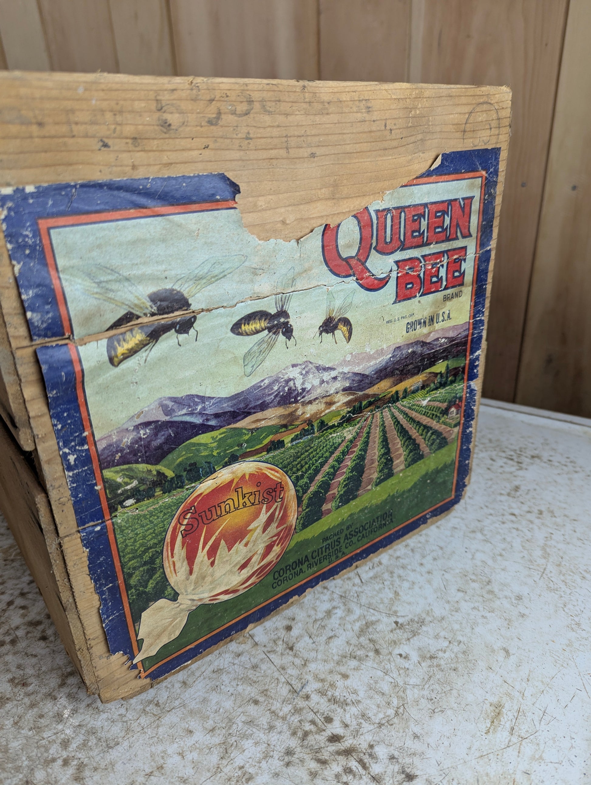 Vintage Queen Bee Sunkist Fruit Crate - view 2