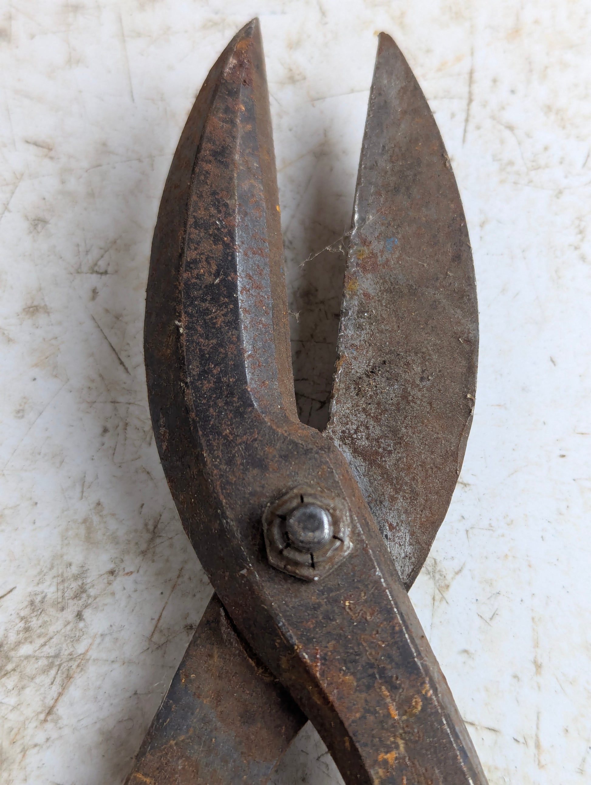 Vintage Tin Snips - view 3
