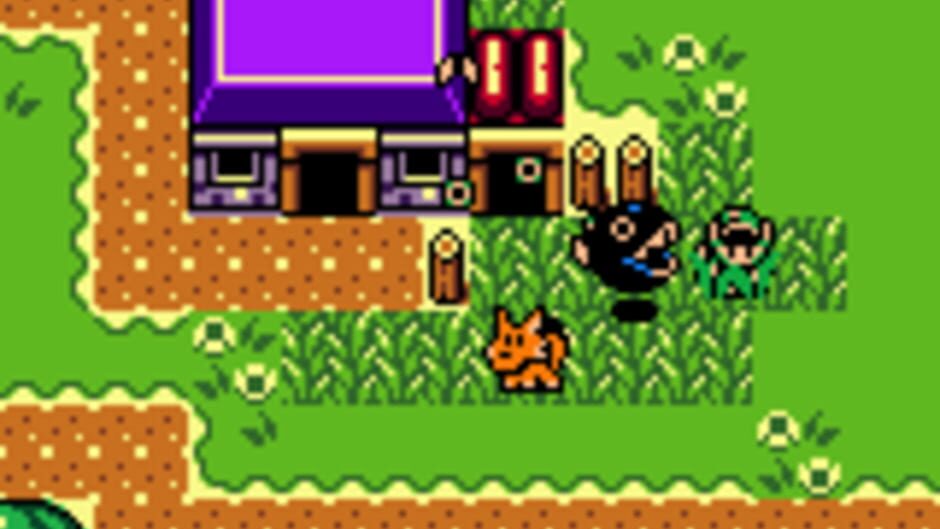 Zelda Link's Awakening DX (Game Boy) - view 3