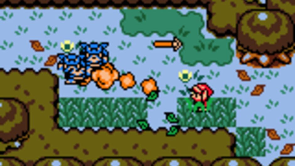 Zelda Link's Awakening DX (Game Boy) - view 4